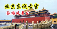 www.日批中国北京-东城古宫旅游风景区